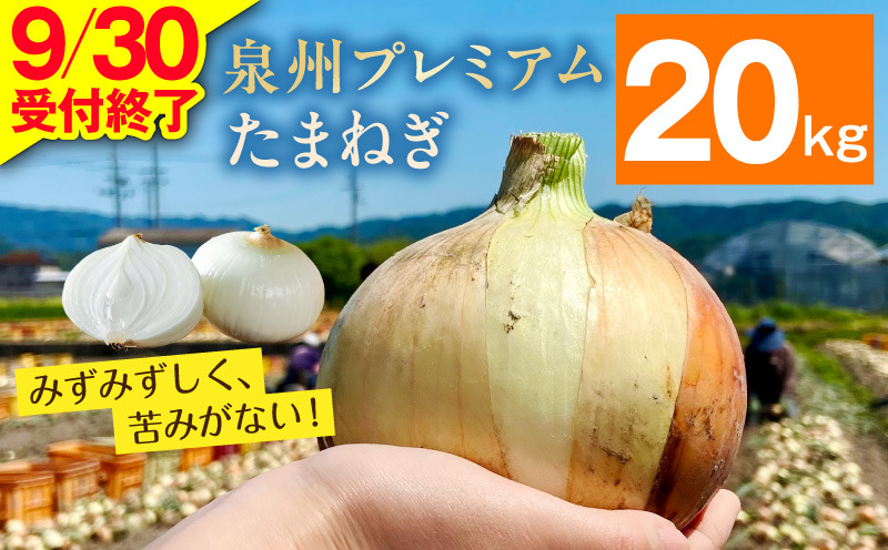 G3682-1 プレミアムたまねぎ 20kg【泉州 玉ねぎ タマネギ 玉葱 甘い 野菜 国産 オニオン サラダ カレー バーベキュー】