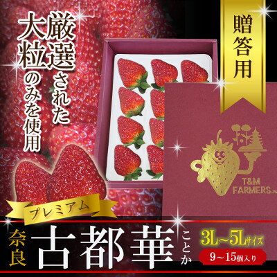 【ふるさと納税】いちご　古都華・ことか　大粒　1パック(9～15粒入り)【配送不可地域：離島・北海道・沖縄県・東北】【1689690】