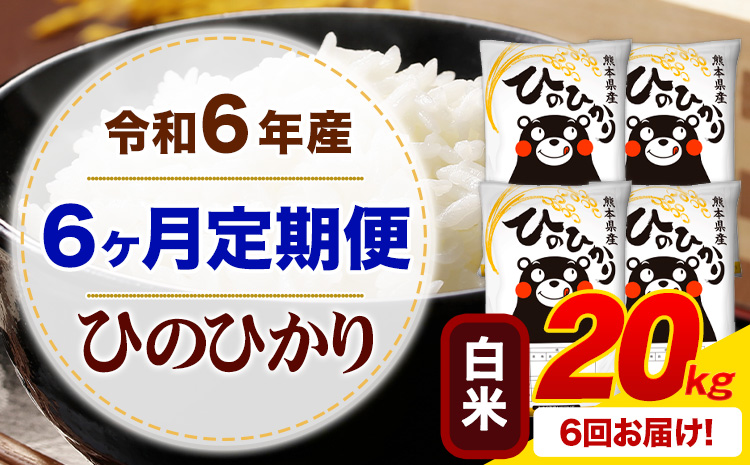 【6ヶ月定期便】令和6年産 白米 ひのひかり 定期便 20kg《お申込み月の翌月から出荷開始》令和6年産 熊本県産 ふるさと納税 精米 ひの 米 こめ ふるさとのうぜい ヒノヒカリ コメ お米---mifune_lcl_124_mo6num1---
