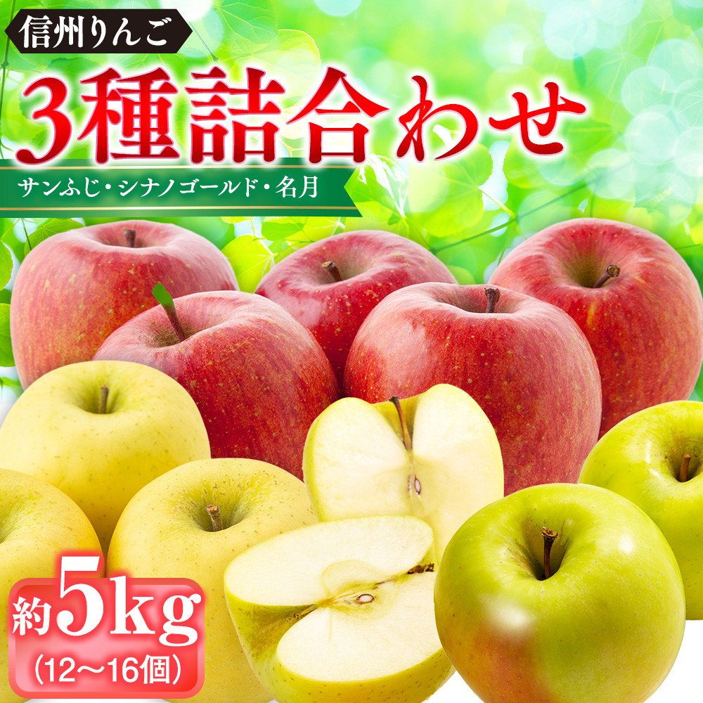 信州りんご・前島農家おすすめりんご（サンふじ・シナノゴールド・名月）約5kg（12個～16個）｜ りんご 食べ比べ 詰め合わせ 信州産 人気 おすすめ サンふじ シナノゴールド 名月 果物 フルーツ 旬 蜜入り 甘い ジューシー 長野県 長野市 信州 信濃 ふるさと納税