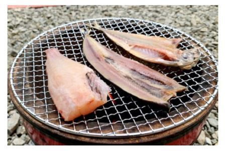 訳あり 干物 5種5パック 詰め合わせ 規格外 家庭用 ひもの さんま あじ ほっけ [気仙沼市物産振興協会 宮城県 気仙沼市 20562714]