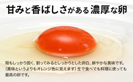 こだわり卵タンタン (10kg＋破卵保障5個入り) たまご タマゴ 玉子 生卵 鶏卵 赤鶏 新鮮 濃厚 採れたて 生みたて 大分県産 九州産 中津市 熨斗対応可