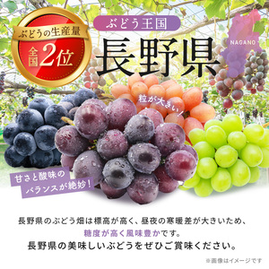 【先行受付】信州産 種無し巨峰 2房 約1kg