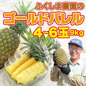 パイナップル ゴールドバレル 4～6玉 ふくしま農園