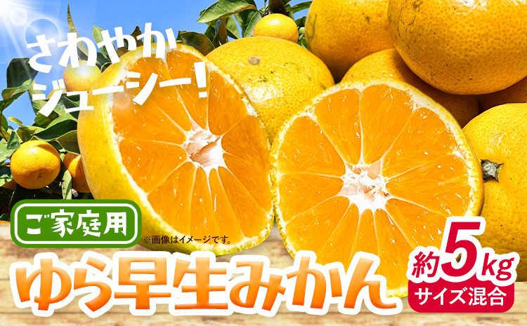 
                   みかん ゆら早生みかん ご家庭用 5kg サイズ混合 GOGO農園《2026年10月上旬-11月末頃出荷》 和歌山県 日高川町 ゆら早生みかん みかん 早生 柑橘 蜜柑 フルーツ 送料無料
                