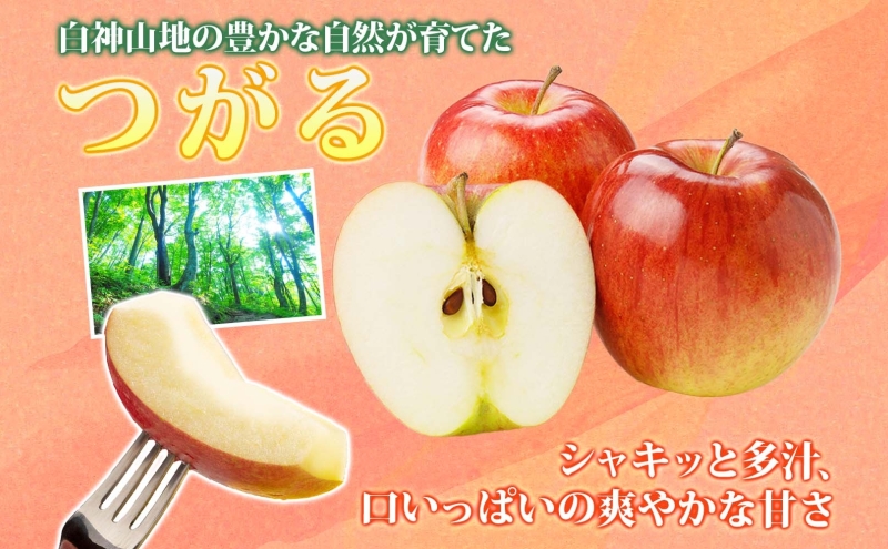 【9月発送】家庭用 つがる 約3kg【西目屋村産・青森りんご】 りんご 林檎 リンゴ 果物 フルーツ くだもの 旬 青森県産 お取り寄せ 詰め合わせ セット 常温 産地直送 送料無料 青森県 西目屋村