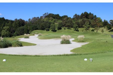 No.233 大阪府 ワールドカントリーゴルフクラブ【平日】セルフ1名様プレー券