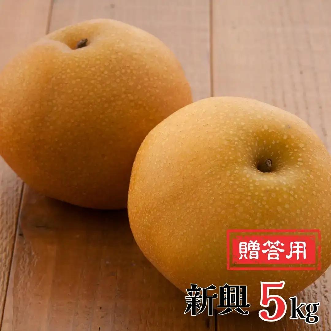 先行予約 新興 和梨 5kg 新潟県 三条市 岩福農園