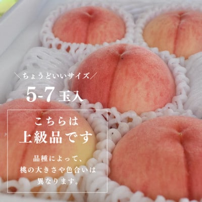 【発送月固定定期便】桃好きの為の、桃3回便!(上級品5−7玉入)(岡山県産)全3回【配送不可地域：離島】【4061981】