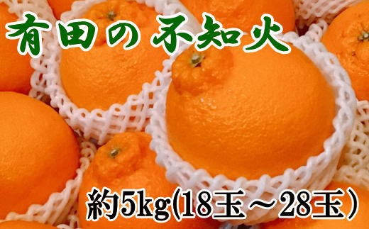 
                  【濃厚】有田の不知火約5kg（18玉～28玉おまかせ）※2027年2月下旬～2027年3月下旬頃順次発送予定【tec860A】
                