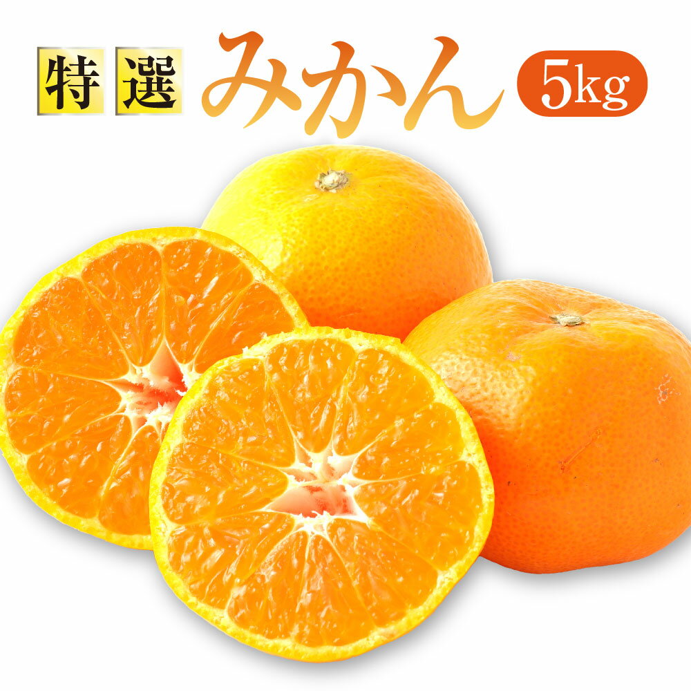 【ふるさと納税】【先行受付】特選みかん5kg 糖度保証12度！ 柑橘 柑橘類 フルーツ 果物 くだもの みかん 蜜柑 温州みかん 果実 熊本県 上天草市 送料無料 くだもの スイーツ 熊本県【2026年12月上旬から12月下旬発送予定】