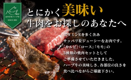 ＜宮崎ハーブ牛＞合計600g（3種類の焼肉セット）【B364】