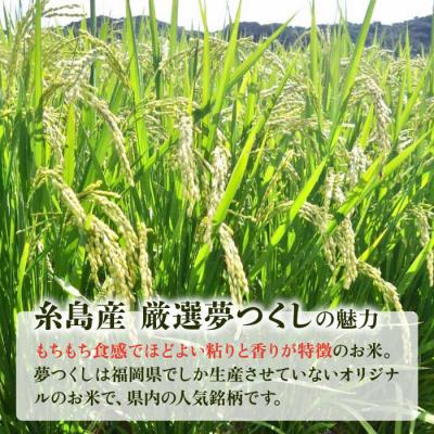 ふるさと納税 糸島市 ＼ 令和6年産 / いとし米 厳選夢つくし 10kg(糸島産) 糸島/三島商店 [AIM044] |  | 03