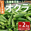 【ふるさと納税】＜期間限定＞生産量日本一！オクラ(約2kg・8本入り×25袋)天ぷら、サラダ、お浸しなどに！【いぶすき農業協同組合】