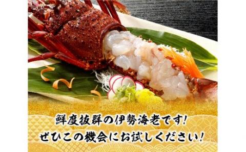 【担当者厳選！】伊勢海老2kg（2～8尾） 【 伊勢えび 魚介類 いせえび 海産物 宮崎県産 国産 】[B04403]