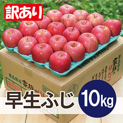 
            ＜2025年10月発送予定＞平均糖度12度以上! 早生ふじ 約10kg 訳あり【1607479】
          