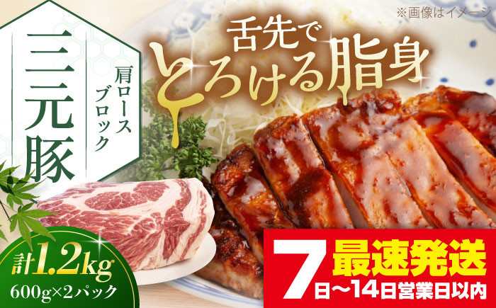 
            【年内発送】 平田牧場 肩ロースブロック 1.2kg (600g×2P) 《喜茂別町》【平田牧場】 角煮 豚角煮 豚の角煮 豚肉 豚肉ブロック 豚肉加工品 豚肉惣菜 豚肉おかず 煮込み 煮込み料理 時短 おかず 総菜 惣菜 冷凍  年内発送 [AJAP075] 18000 18000円
          