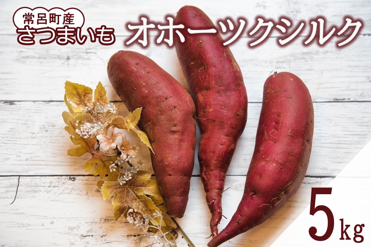 【予約：2025年11月中旬から順次発送】北海道常呂町産 サツマイモ オホーツクシルク 5kg ( さつまいも さつま芋 焼き芋 大学芋 )【111-0001】