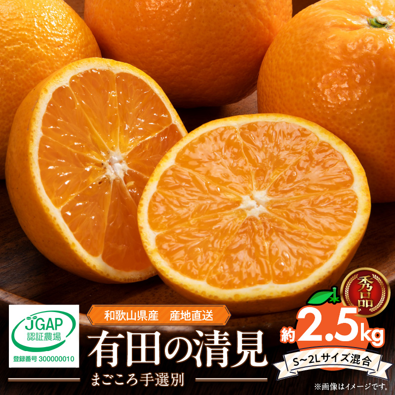 ZE6367n_【2026年先行予約】和歌山県産 有田の 清見 2.5kg (S～2Lサイズ混合)【まごころ手選別】