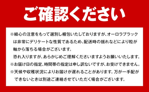 【2027年先行予約】岡山県産 ご家庭用 オーロラブラック 2～3房 約1.2kg 《2027年9月上旬-9月下旬頃出荷》 岡山県 笠岡市 巨峰 ぶどう 葡萄 果物 フルーツ【配送不可地域：離島】
