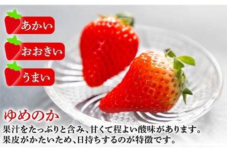 いちご イチゴ 苺 ゆめのか・恋みのり 計 1kg「ゆめ恋セット」《壱岐市》【蒼花】 [JEO001] 12000 12000円  コダワリいちご・イチゴ・苺 こだわりいちご・イチゴ・苺 おすすめいち