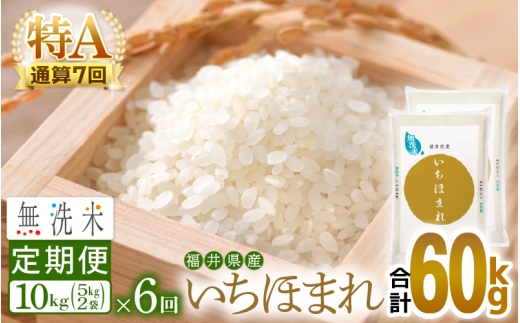 特A通算7回！お米 令和7年産 無洗米 定期便 6回 いちほまれ 10kg × 6回（計60kg）福井県産【米 コメ kome 6ヶ月連続 計60キロ 精米 白米 便利 時短】 [e27-n008]