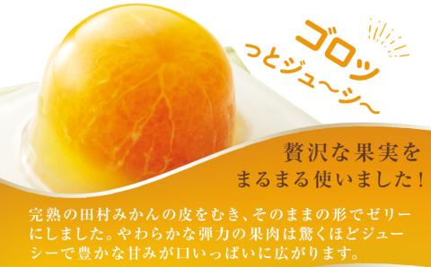 【プレミア和歌山認定】高級『田村みかん』を丸ごと使用！フルーツ丸ごとゼリーセット 12個入