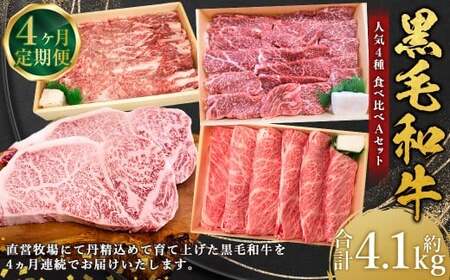 【4回定期便】 牛肉 兵庫県産 黒毛和牛 人気4種 食べ比べ A 肉 ニク にく 牛