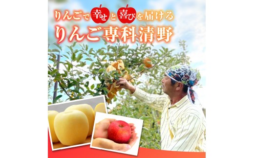 《先行受付》贈答規格 旬のりんご詰合せ約3kg（サンふじ確約3種以上）特秀～秀 大江町産【2026年12月上旬頃～発送予定】