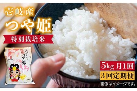【全3回 定期便 】お米 壱岐産 つや姫  5kg 《 壱岐市 》 【壱岐市農業協同組合】[JBO056] 米 お米 新米  21000 21000円  コダワリお米 こだわりお米 おすすめお米 おス