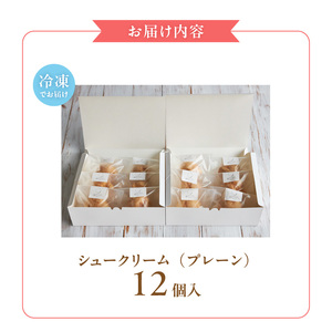 自然栽培 米粉のシュークリーム プレーン12個セット 〔Dw082〕