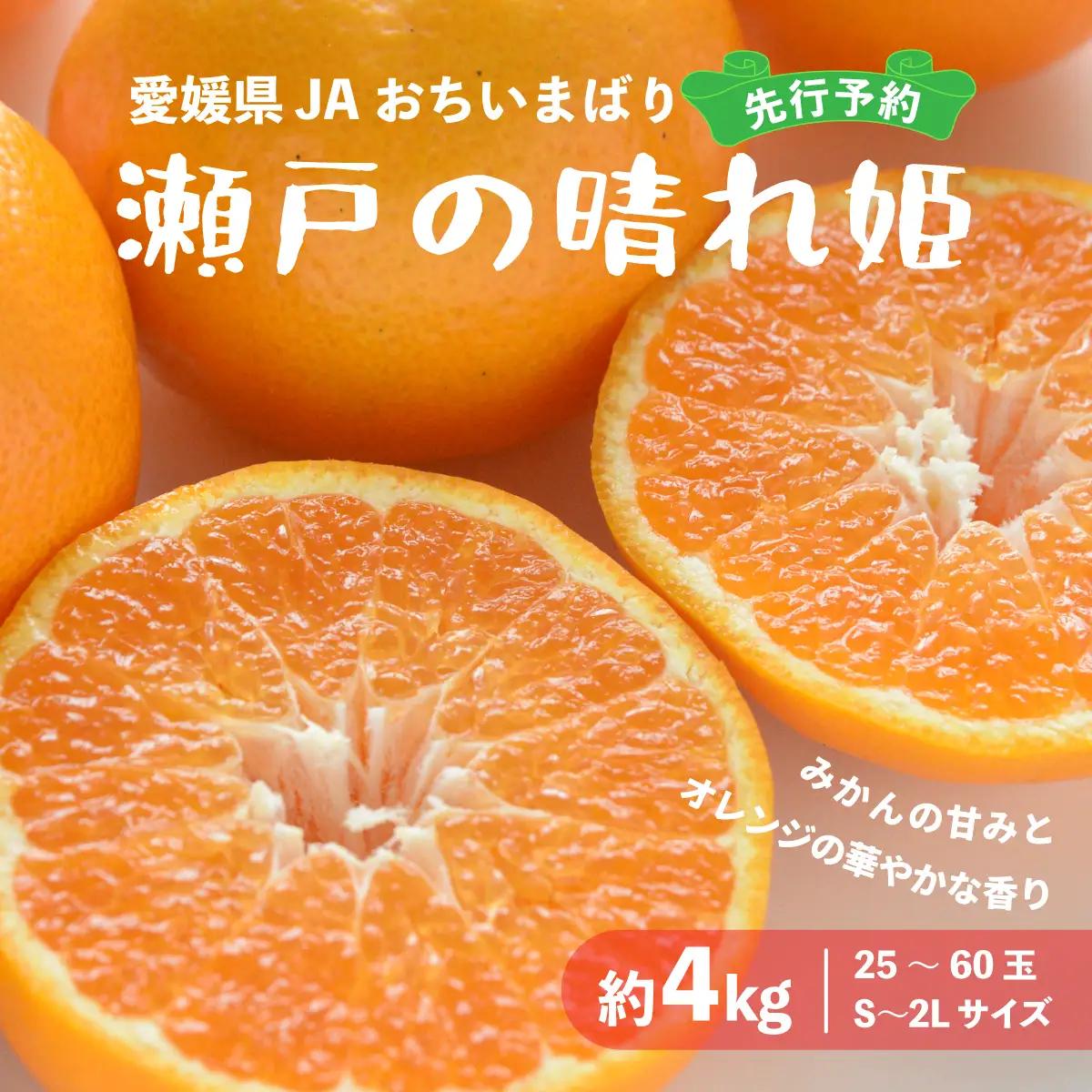 みかん 【先行受付】瀬戸の晴れ姫　2L～Sサイズ　4kg(25～60玉)　愛媛県