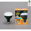 【ふるさと納税】LED電球 e26 投光器 屋外 LDR18D-H 投光器用交換電球 作業灯 防水 投光器作業灯 2000ml投光器 昼光色 クランプライト 防雨 防塵 防災用 作業場 省電力 広配光 長寿命 災害 防災 アイリスオーヤマ | 新生活