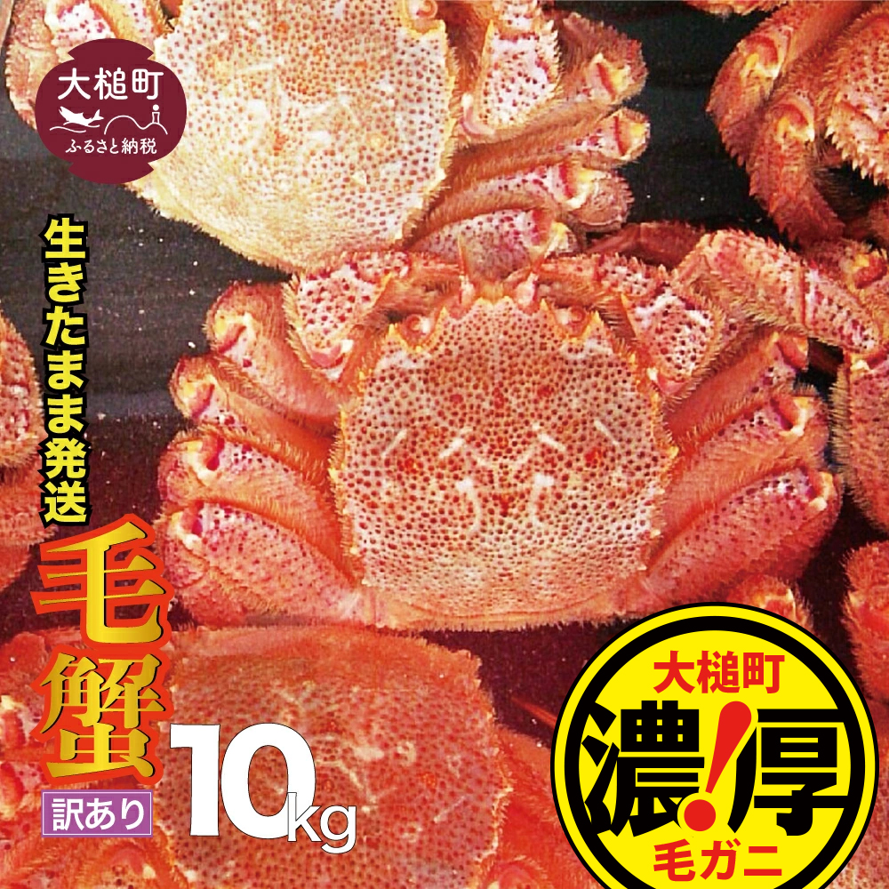 【令和8年発送先行予約】【訳あり】三陸産！活毛ガニ 10kg【08】【2026年2月～4月発送】