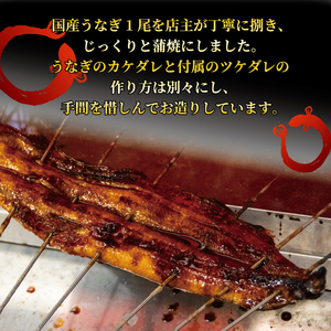 国産 うなぎ 蒲焼 1尾 180g  うなぎ うなぎ うなぎ うなぎ うなぎ うなぎ