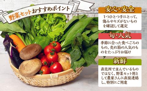 とれたて野菜パック 定期便4回 (2ヶ月おき) 季節の野菜セット 詰め合わせ 10品前後 ジャガイモ 人参 大根 小松菜 白ネギ グリンリフ チンゲン菜 椎茸 トマト 水菜 葉ネギ 人気 厳選 袋井市