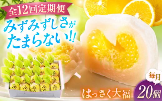 【全12回定期便】お菓子 はっさく大福20個入 お菓子 大福 八朔 柑橘 みかん オレンジ 餅 ギフト お取り寄せ スイーツ フルーツ大福 ご当地 菓子 おかし デザート 食品 人気 おすすめ 広島県 柑橘 瀬戸内 果汁 爽やか 広島県産 特産品 産地直送 お取り寄せ 贈り物 ギフト 贈答品 絶品 銘品 福山グルメ 国産 逸品 定期便 広島県福山市/株式会社虎屋本舗[BADH032]