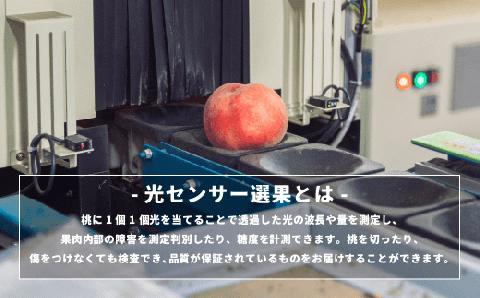 桃 3kg 訳あり 先行予約 2024年 秀品 品種おまかせ 白鳳 , あかつき , なつっこ , いずれか1品種 光センサー選別品 沖縄県への発送不可 2024年8月上旬～下旬発送 長野 飯綱 [1