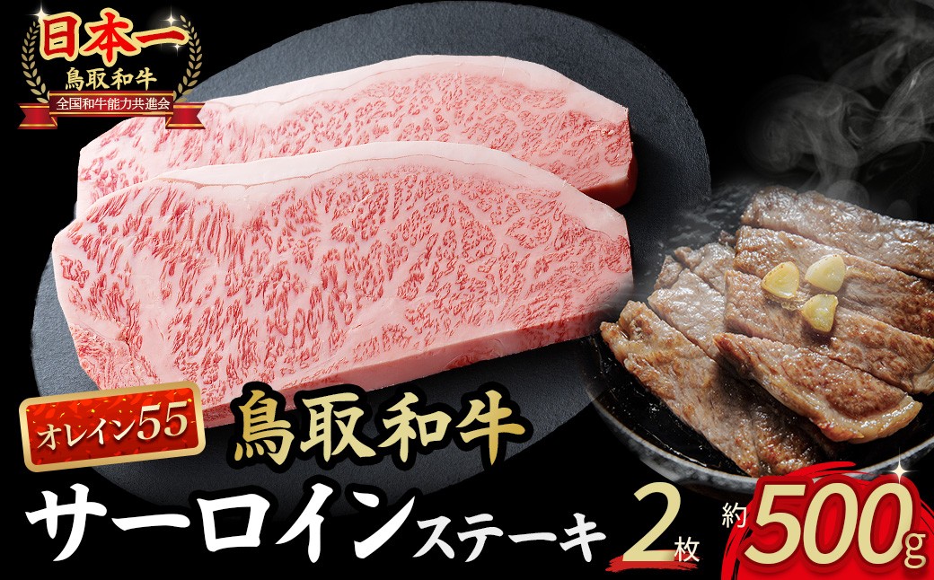 
            鳥取和牛 オレイン55 サーロインステーキ 2枚 （ 500g ） 国産 牛肉 和牛 黒毛和牛 サーロイン ステーキ サーロインステーキ 高級 希少 鳥取県 倉吉市 KR1288
          