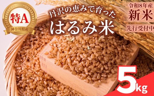 【先行予約】令和8年度産 はるみ米 5㎏ 玄米 新米 米 お米 ごはん 農家直送 低農薬  2026年産 高評価 大人気 おすすめ 特産品  かながわブランド ブランド米 神奈川県産 関東 厚木 神奈川県 厚木市 MOMONAFARM MNF002