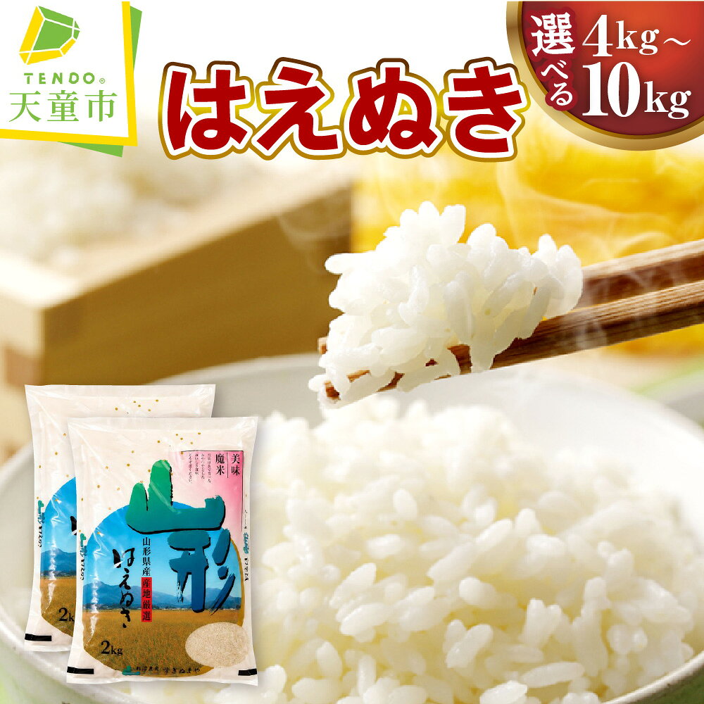 【ふるさと納税】 ＼新米登場／ はえぬき 選べる 4kg / 5kg / 10kg 令和7年産 令和8年産 新米 先行予約 米 小分け 袋 便利 おすそ分け おこめ 精米 ブランド米 ごはん 白米 おにぎり 弁当 お試し 高評価 人気 おすすめ 大容量 お取り寄せ 産地直送 送料無料 山形県 天童市