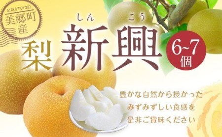 【期間限定発送】 梨 新興 6～7個 [農産物直売所 美郷ノ蔵 宮崎県 美郷町 31ab0134] なし ナシ 果物 くだもの フルーツ 美郷町産 ジューシー さいごう梨