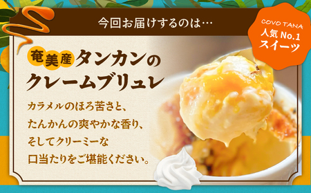 【 奄美 の 保護猫 支援（ 保護猫フード 10日分 ）】＋ 奄美産 タンカン の クレーム ブリュレ （ 6個 入り ） A071-002-02 菓子 スイーツ クリームブリュレ デザート 保護猫支