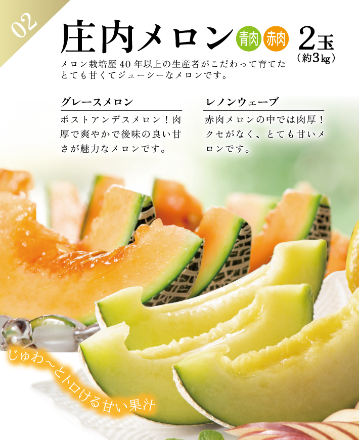 SE0466　【3回定期便】農家直送 おすすめのフルーツ定期便2026 (いちご、庄内メロン、青ぶどう)