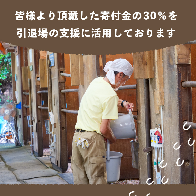 【返礼品なし】 競走馬 引退馬はどこへ？ 黒潮友馬会応援 【8千円コース】