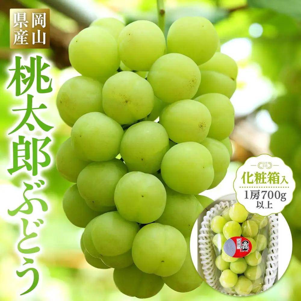 ぶどう 2027年先行予約  桃太郎 ぶどう1房(700g以上) 化粧箱入り 岡山県産 ぶどう ギフト