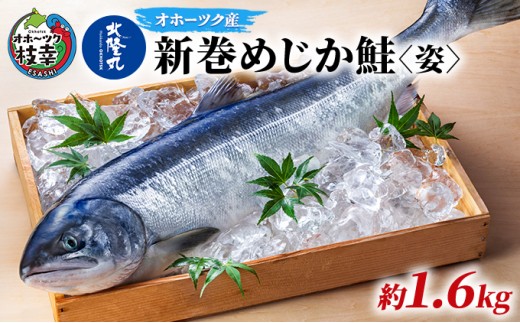 
                  北隆丸 新巻めじか鮭〈姿〉約1.6kg【 枝幸産 魚貝類 サーモン 鮭 北海道 オホーツク 枝幸 】
                