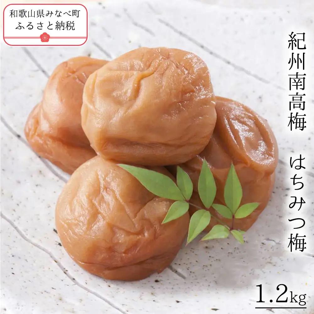 紀州南高梅　はちみつ梅　yplu013B【yplu013B】