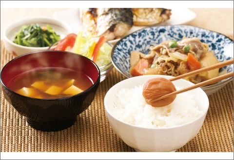 【0489-4】【和歌山県／紀州南高梅】紀州四季の梅 うす塩味1kg（塩分約6%）