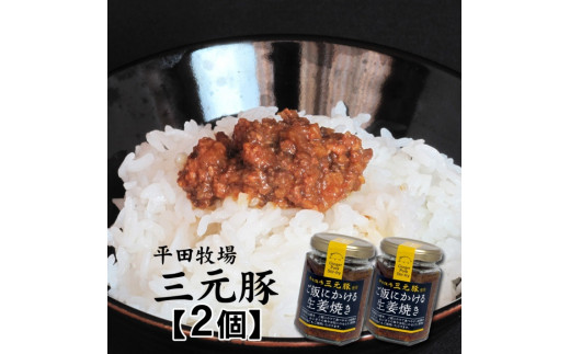 SZ0246　【平田牧場三元豚使用】ご飯にかける生姜焼き　計2個(80g×2個)